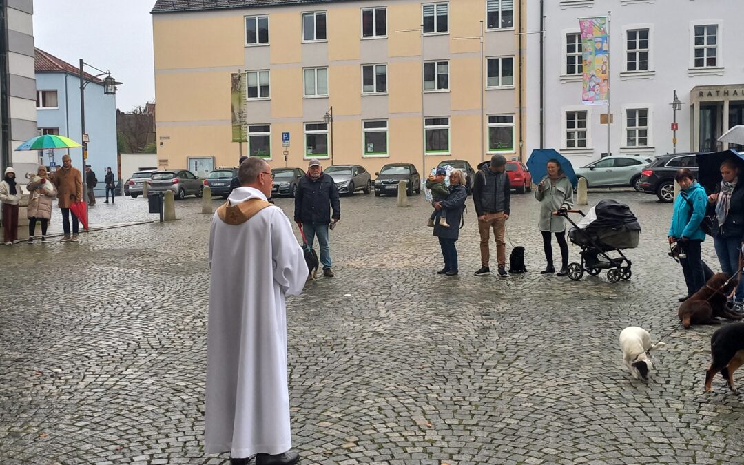 Tiersegnung auf dem Basilikaplatz